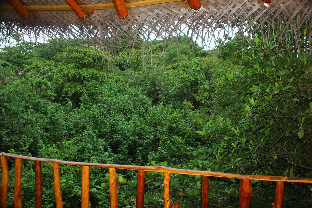Seasons Four Mini Jungle Cabana Matara Esterno foto